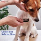 Flea Comb Listing 05