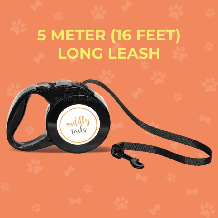Retractable Leash 03