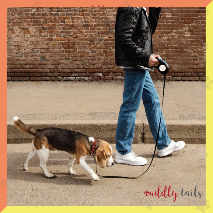 Retractable Leash 05