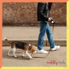 Retractable Leash 05