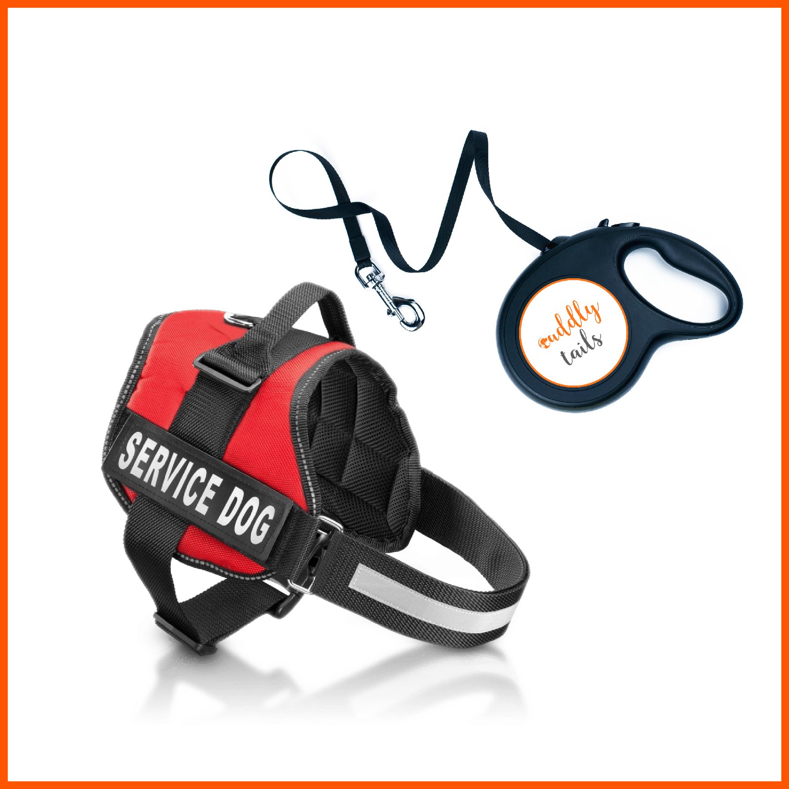 Collars, Leashes & Harnesses