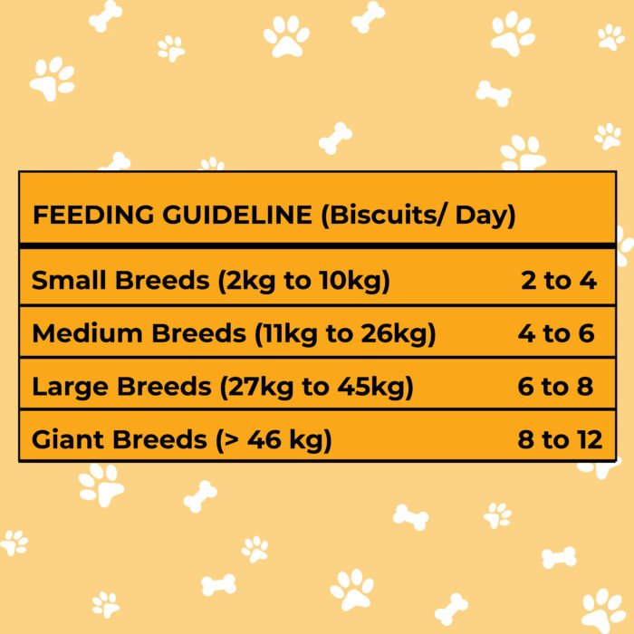 Lisitng Egg & Cheese-05